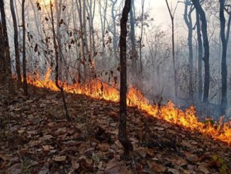 นายกสมาคมต่อต้านสภาวะโลกร้อน ค้าน 'บิ๊กป้อม' ปิดป่า ชี้แก้ปัญหาไฟป่าไม่ได้ ตราบใดที่ชุมชนไม่มีส่วนร่วม 2